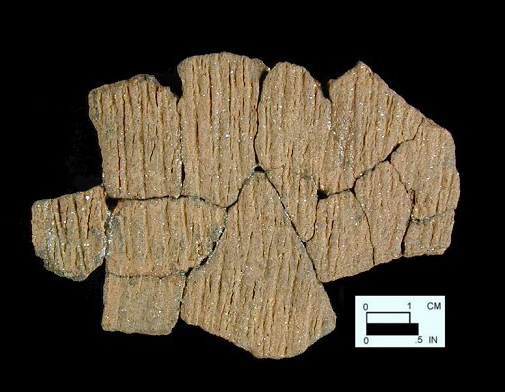 Accokeek cord-marked, mica-tempered sherds from Kettering Park, site 18PR174/278.